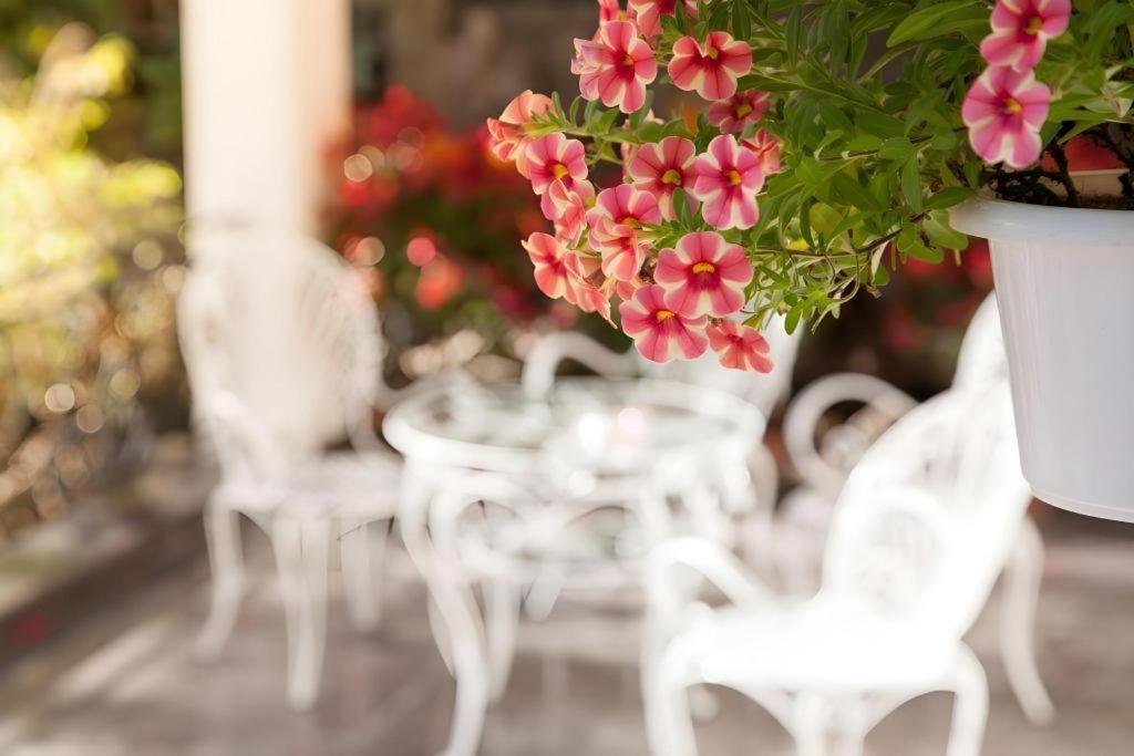 Hoa Sen Vang Hotel Dalat Exterior photo